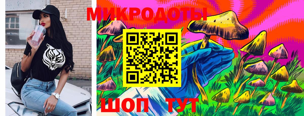 Псилоцибиновые грибы Psilocybine cubensis  Галлюциногенные грибы мицелий  Саки  Вход с VPN 