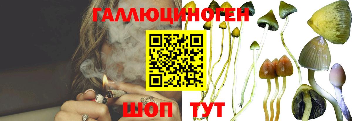 Галлюциногенные грибы Psilocybine cubensis Саки
